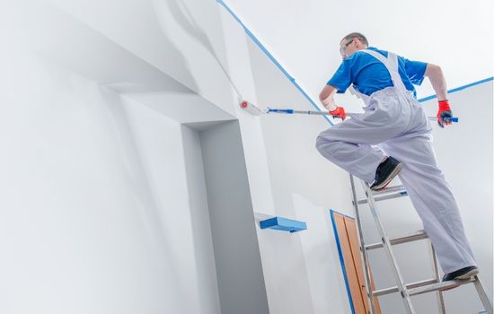 Professional Painting & Wall Coating 1 Untitled design 70
